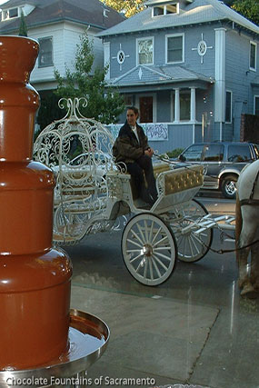 Fairy-tale Chocolate Fountain