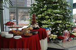 Christmas Chocolate Fountain